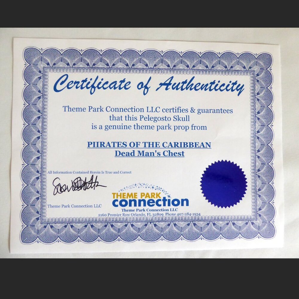 2006 DISNEY PIRATES OF THE CARIBBEAN OFFICIAL MOVIE FILM PROP PELEGOSTO SKULL - Picture 3 of 15